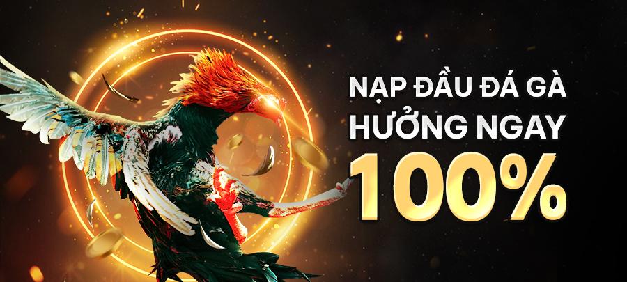 Hướng dẫn nạp the zingplay nhanh chóng và an toàn cùng với trải nghiệm nạp the zingplay tiện lợi